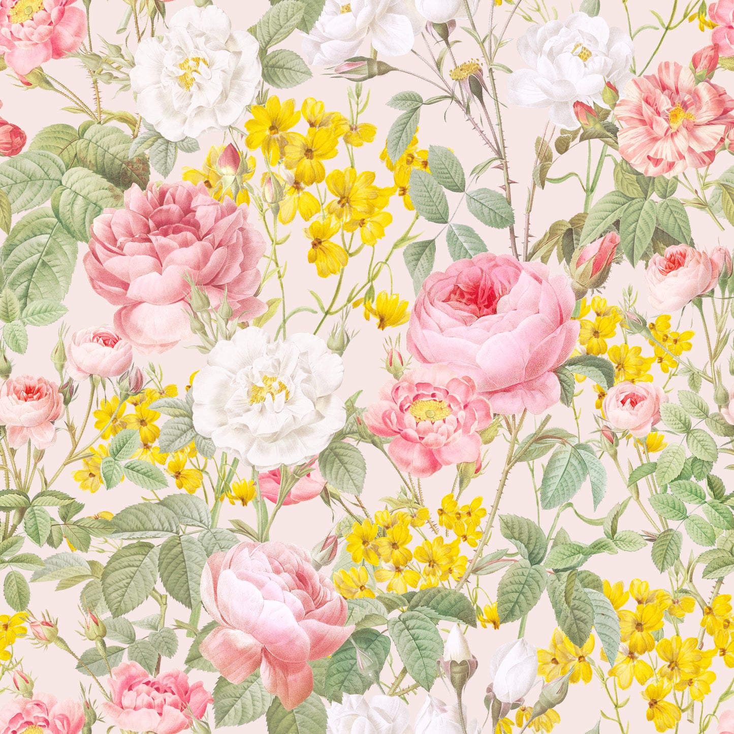 Cotton fabric
