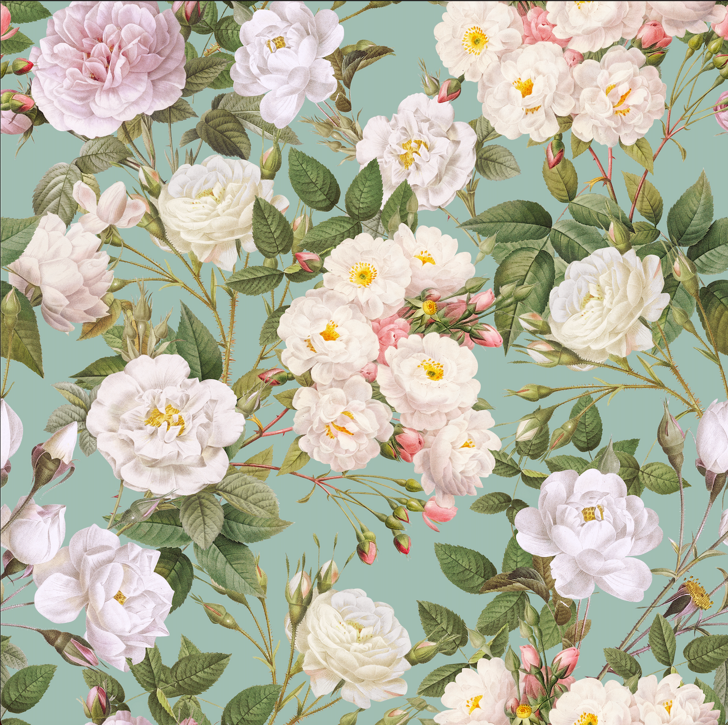 Cotton fabric