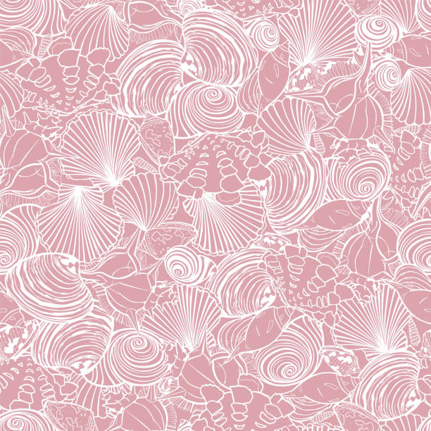 Cotton fabric