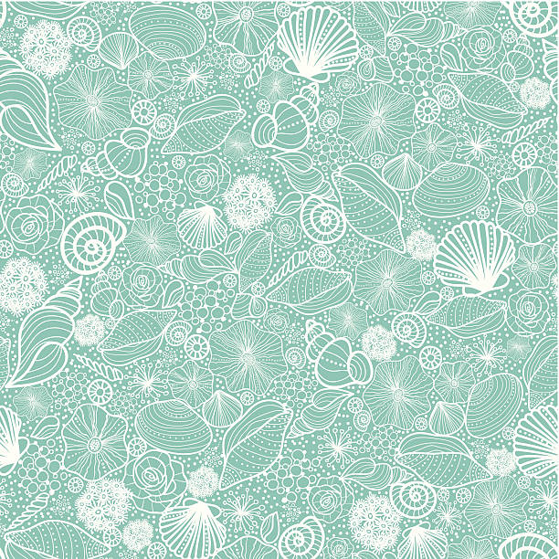 Cotton fabric