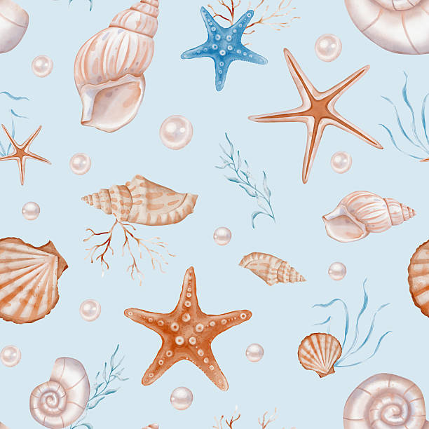 Cotton fabric