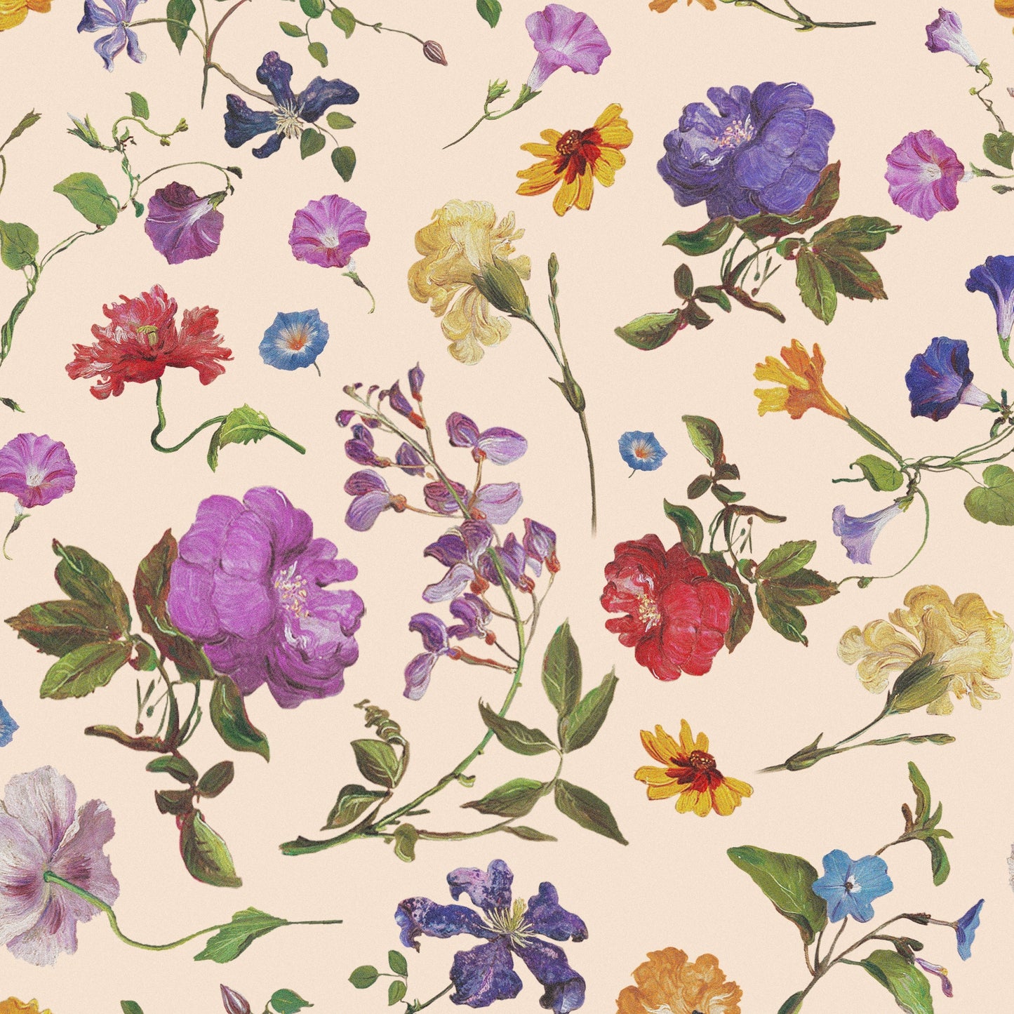 Cotton fabric