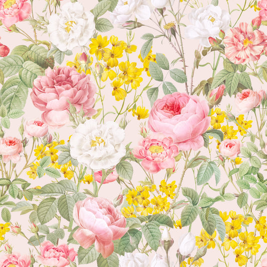 Cotton fabric
