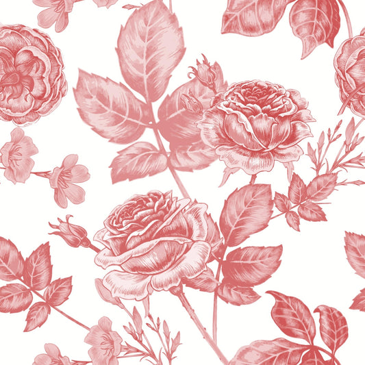 Cotton fabric