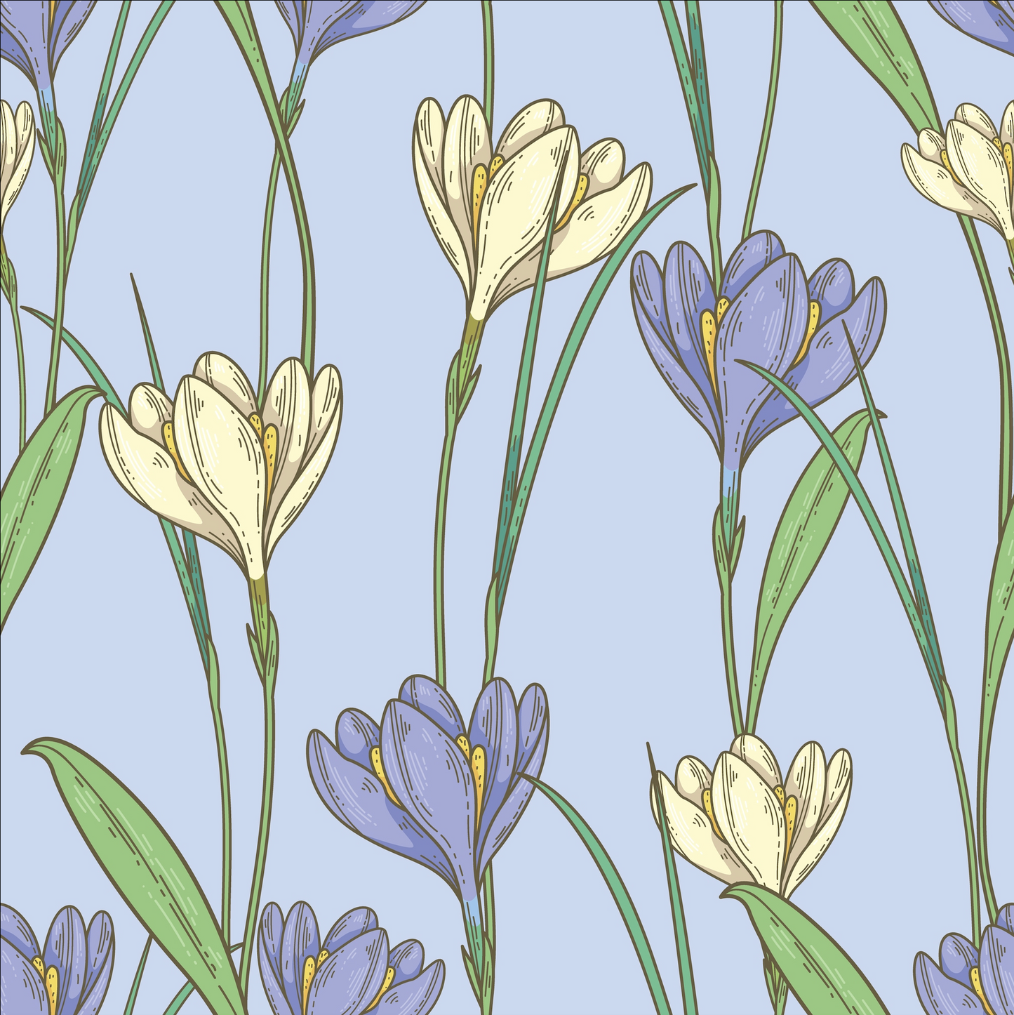 Cotton fabric
