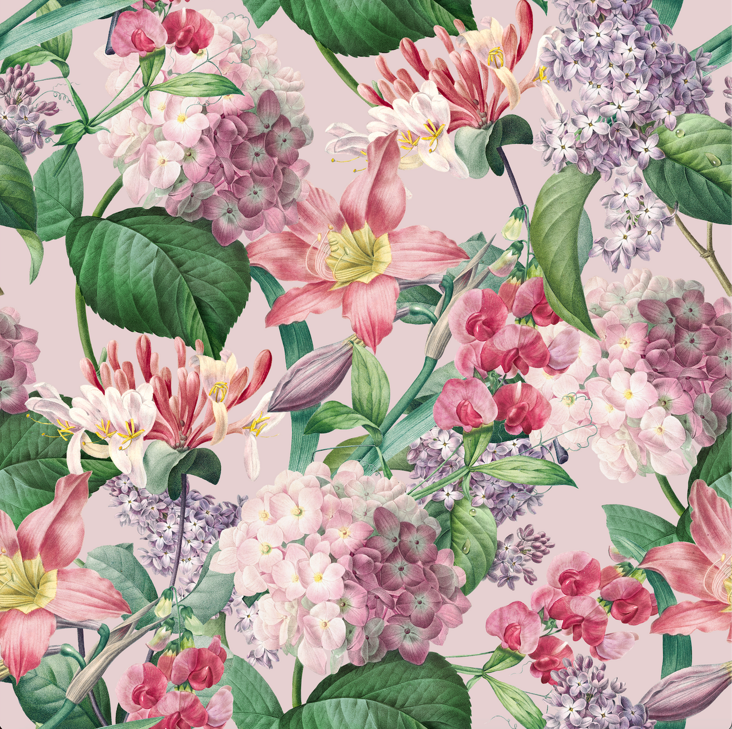 Cotton fabric