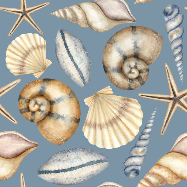 Cotton fabric