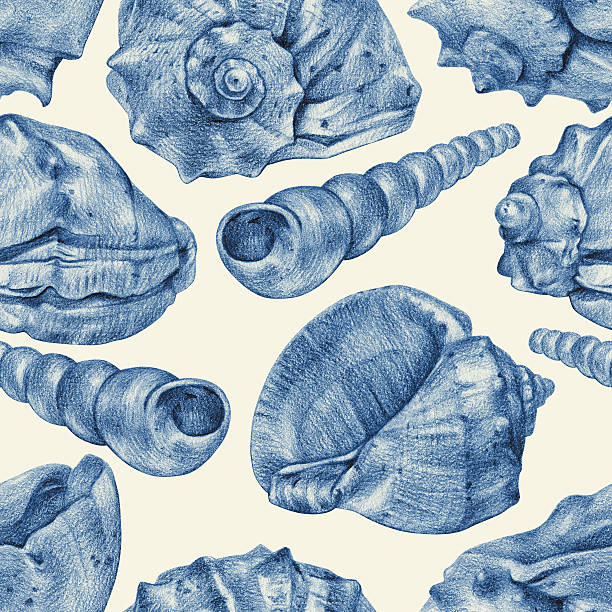Cotton fabric