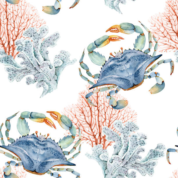 Cotton fabrics