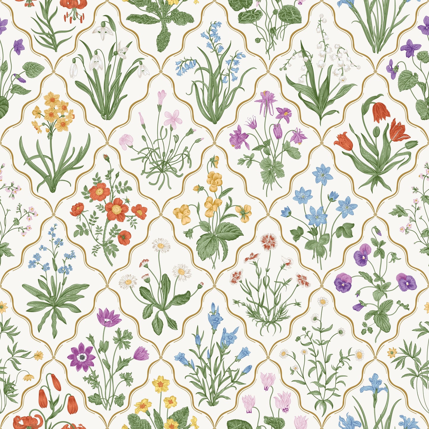 Cotton fabric